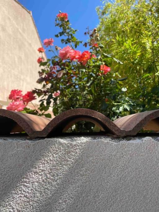Cozy & Elegant Appartement Narbonne Exterior foto